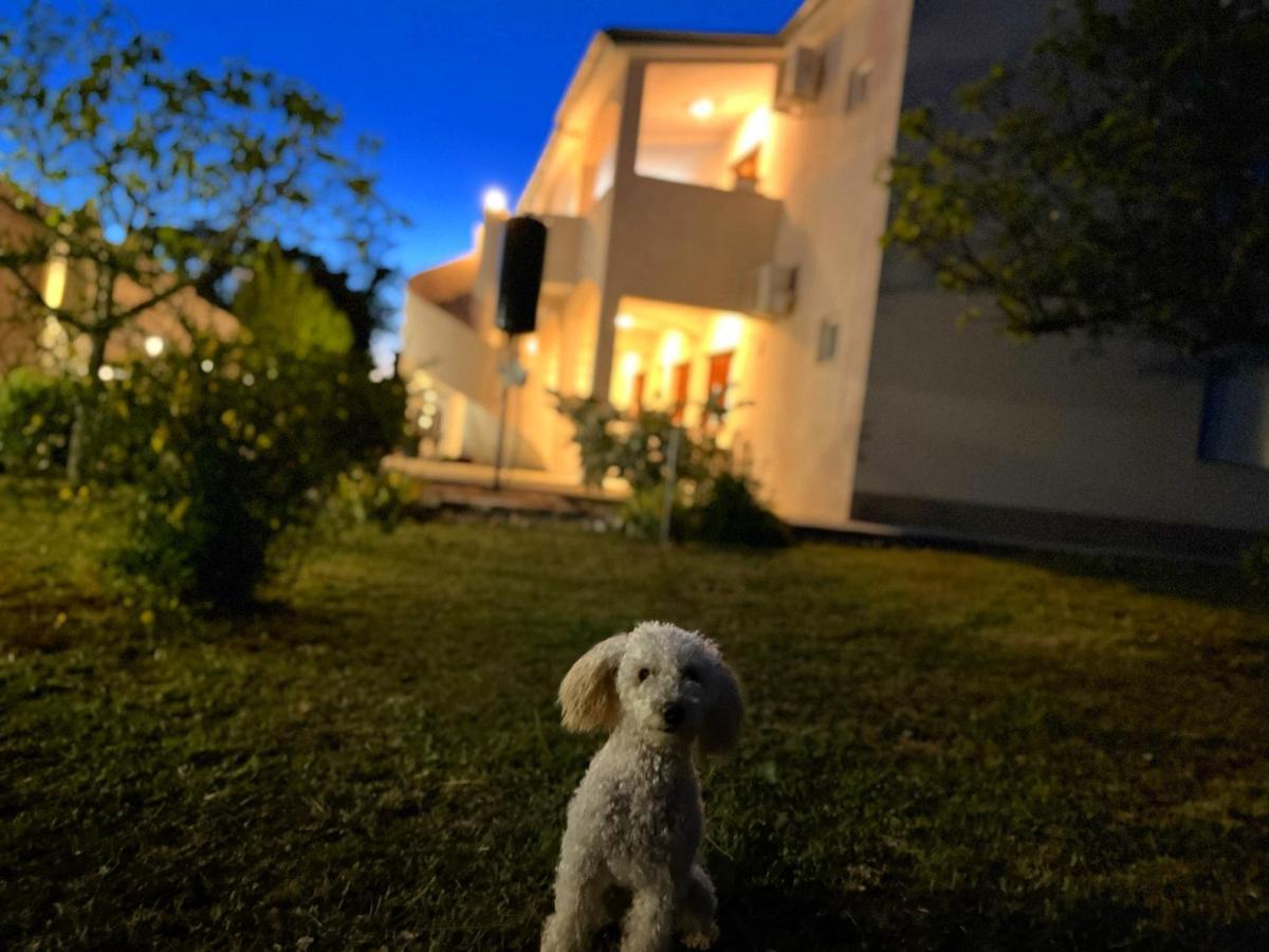 Apartments Fortuna Biograd Na Moru Buitenkant foto